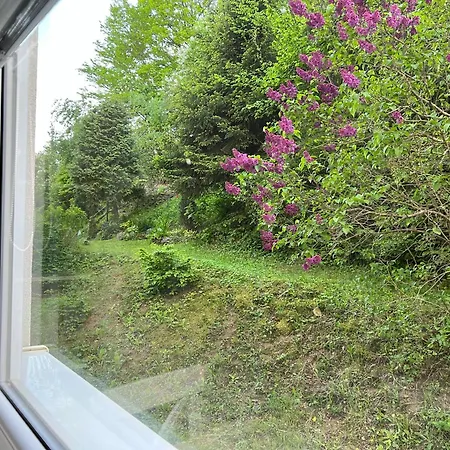 Rosniarka * Banska Stiavnica